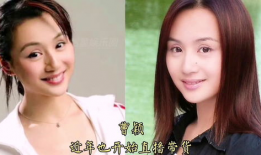 以前吃娱乐圈的瓜,那些年我们追过的明星幕后故事
