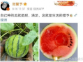 娱乐圈吃瓜料,揭秘明星幕后恩怨情仇