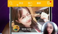 91夜色直播在线下载,独家下载，尽享夜色盛宴